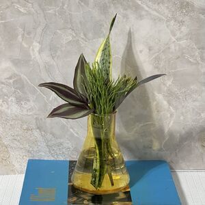 Science Conical Beaker Flask Propagation Station Organizer Yellow Plastic